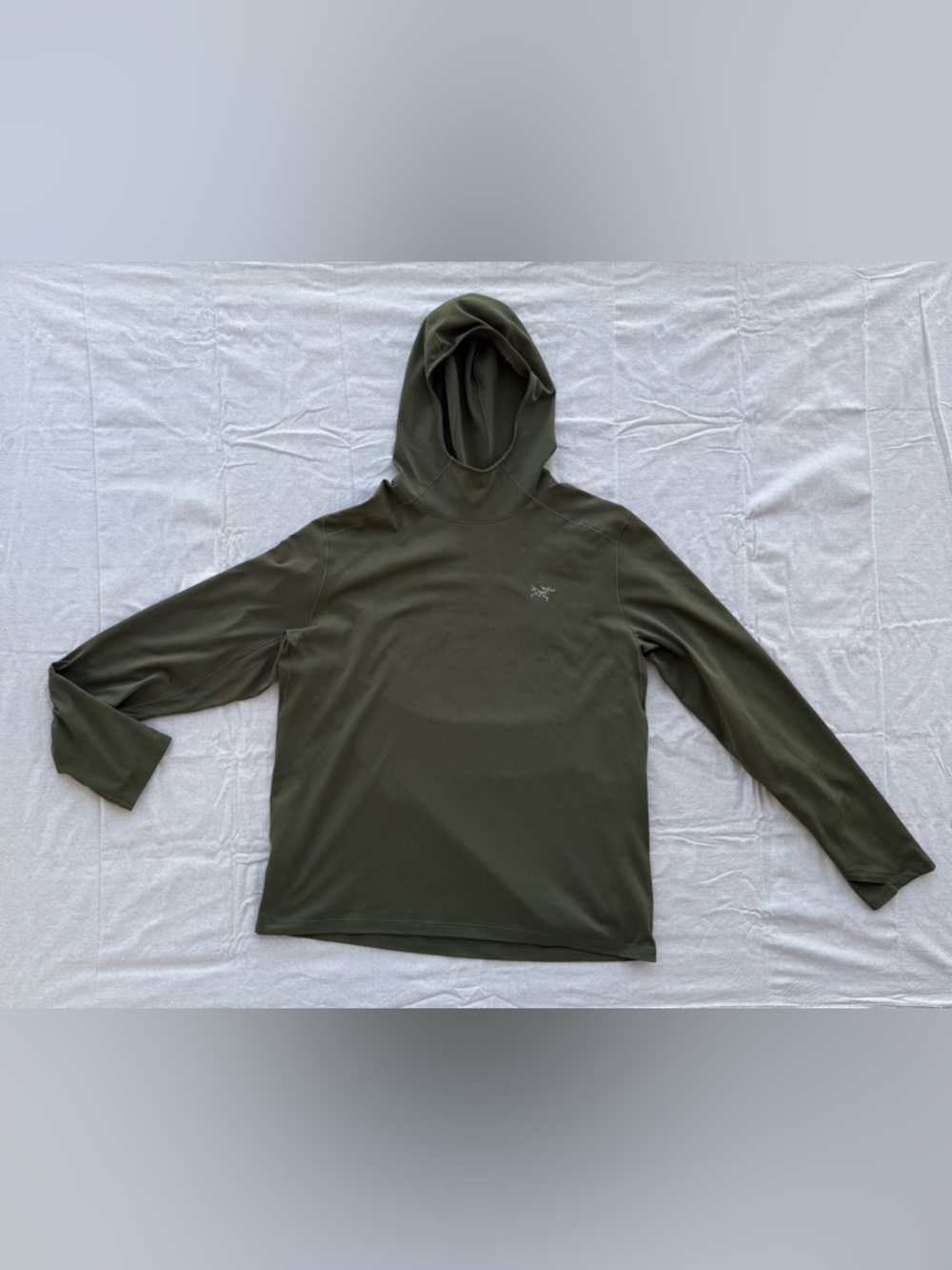 Arc'teryx Olive Hooded Long-Sleeve Men's Top